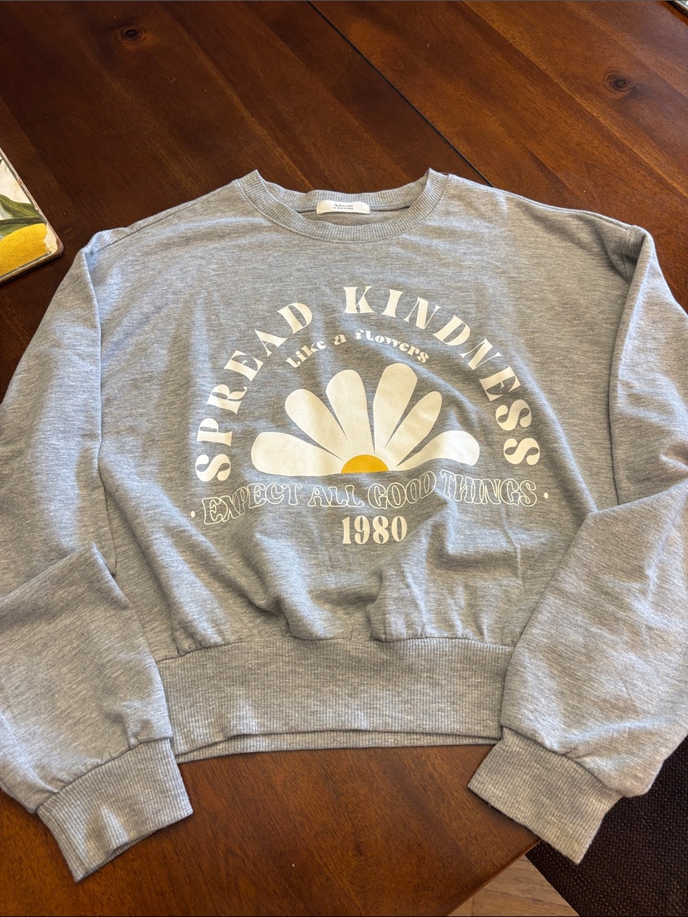Active USA Grey Crewneck Sweatshirt with Daisy Graphic and Text